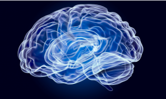 NEUROPSICOLOGIA