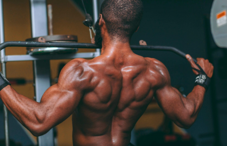 ANATOMIA APLICADA AO TREINAMENTO RESISTIDO E PRINCÍPIOS DO TREINAMENTO DE FORÇA