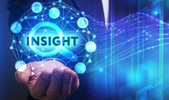 Insights Luciana Harfenist