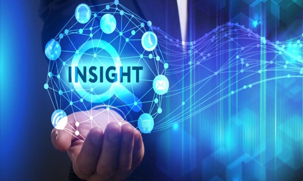 Insights Luciana Harfenist