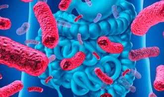 Impacto da dieta na microbiota intestinal