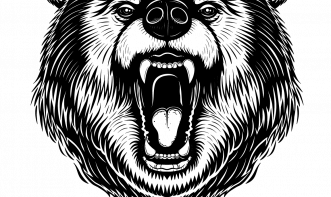 Leonardo Couto de souza Pinto