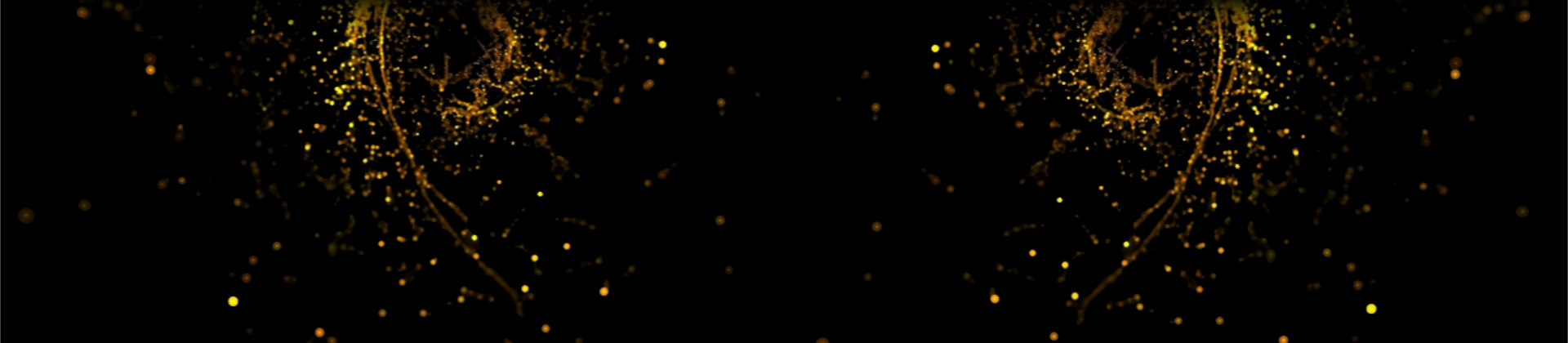 (TURMA 4) Espiritualidade & Mediunidade: A Base dos Cultos Afro-Brasileiros