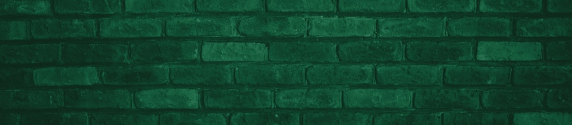 Instrumentalidade e Serviço Social