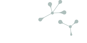Instituto Conexões Cognitivas