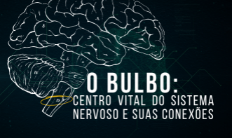 O Bulbo: Centro Vital do Sistema Nervoso e Suas Conexões