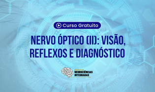 Nervo Óptico (II): Visão, Reflexos e Diagnóstico