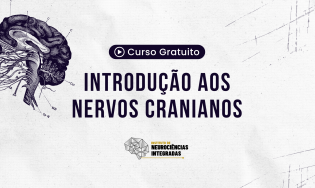 Introdução aos Nervos Cranianos do IV ao XII Par