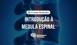 Introdução à Medula Espinal