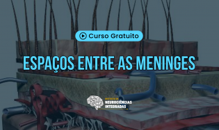 Espaços entre as Meninges