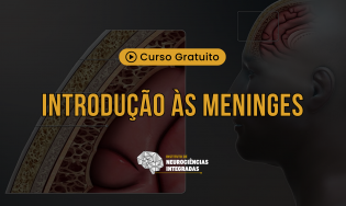 Introdução às Meninges