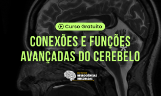 Conexões e Funções Avançadas do Cerebelo