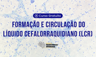 Formação e Circulação do Líquido Cefalorraquidiano (LCR)