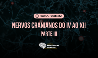 Nervos Cranianos do IV ao XII (3)