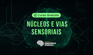 Núcleos e Vias Sensoriais