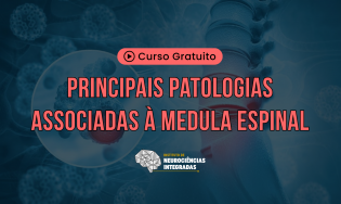 Principais Patologias Associadas à Medula Espinal