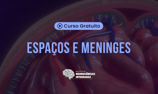 Espaços e Meninges