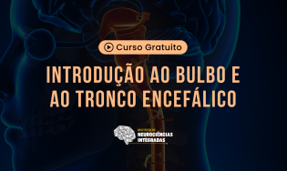 Introdução ao Bulbo e ao Tronco Encefálico