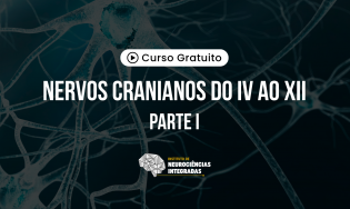 Nervos Cranianos do IV ao XII (1)