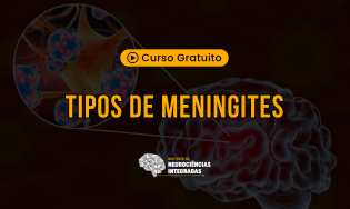 Tipos de Meningites