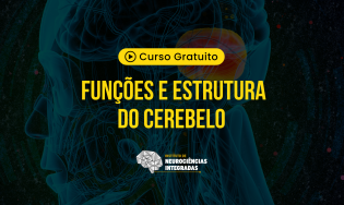 Funções e Estrutura do Cerebelo