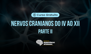 Nervos Cranianos do IV ao XII (2)