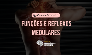 Funções e Reflexos Medulares