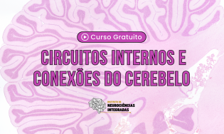 Circuitos Internos e Conexões do Cerebelo