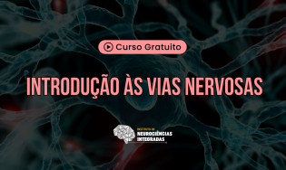 Introdução às Vias Nervosas