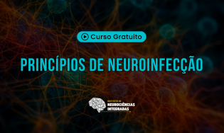 Princípios de Neuroinfecção