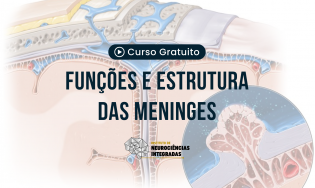 Funções e Estrutura das Meninges