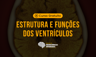 Estrutura e Funções dos Ventrículos