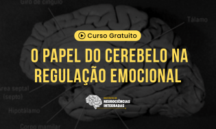 O Papel do Cerebelo na Regulação Emocional