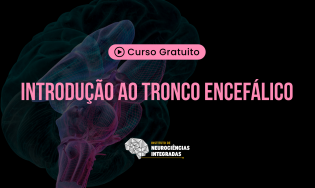 Introdução ao Tronco Encefálico