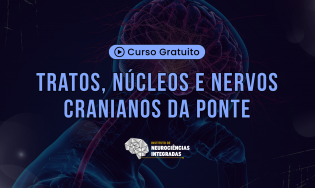 Tratos, Núcleos e Nervos Cranianos da Ponte