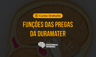 Funções das Pregas da Duramater