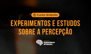 Experimentos e Estudos sobre a Percepção