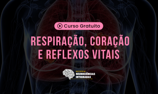 Respiração, Coração e Reflexos Vitais