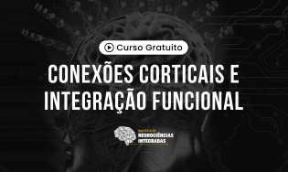 Conexões Corticais e Integração Funcional
