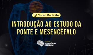 Introdução ao Estudo da Ponte e Mesencéfalo