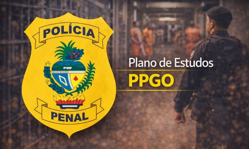Plano de Estudos PPGO