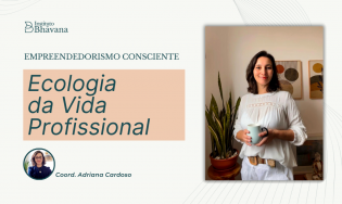 Ecologia da Vida Profissional