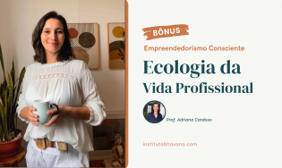 Ecologia da Vida Profissional