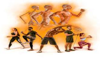 Biomecânica do Exercício