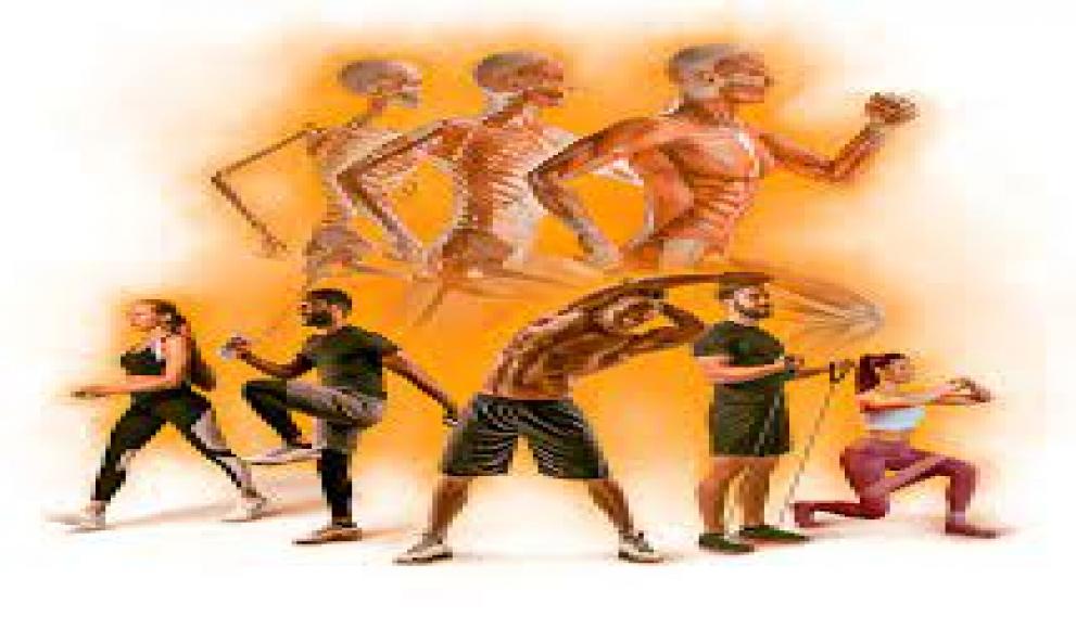 Biomecânica do Exercício