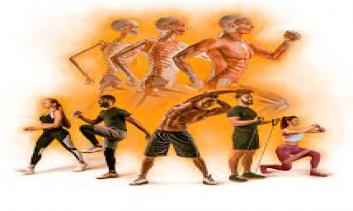 Biomecânica do Exercício