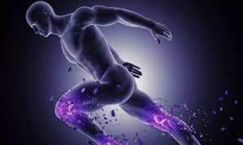 Fisiologia do Exercício