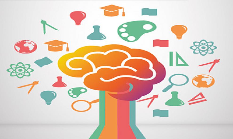 Psicopedagogia Institucional