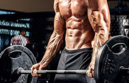 MUSCULAÇÃO AVANÇADA
