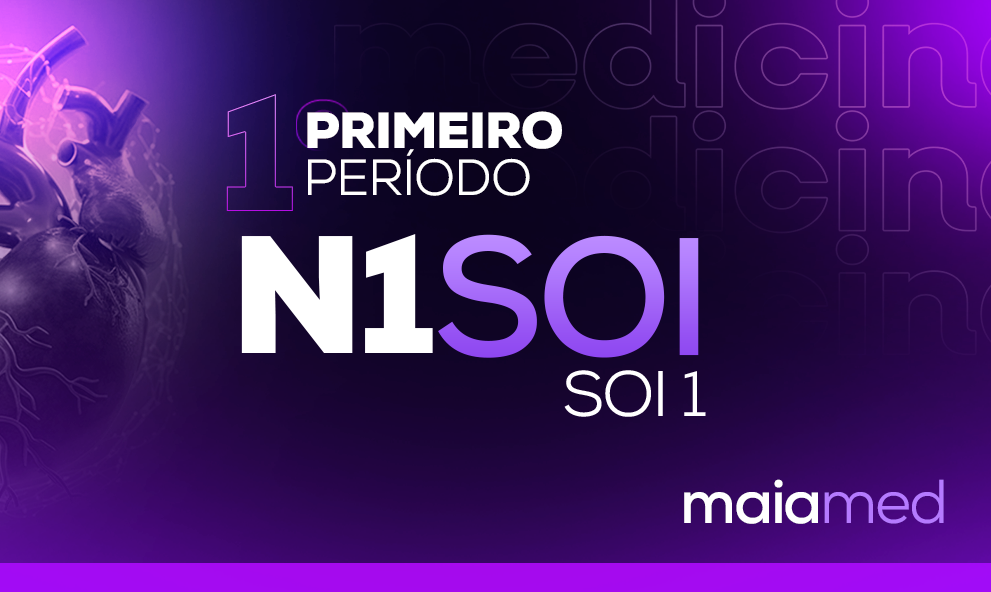 SOI I - Revisão N1